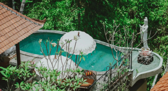 Jungle Lotus Villas