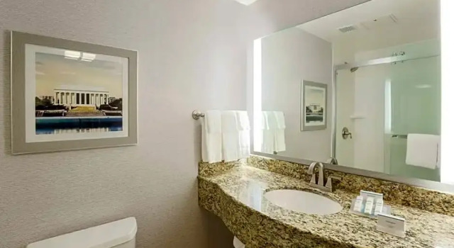 Номер Premium Hilton Garden Inn Shirlington