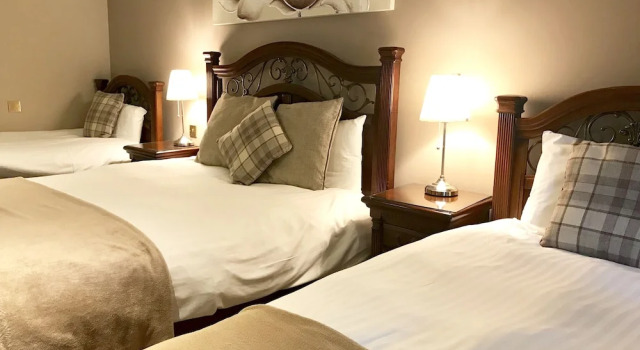 Четырёхместный семейный номер Standard Camden Arms Hotel