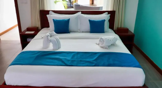Двухместный номер Deluxe с видом на море Searenity Beach Villa