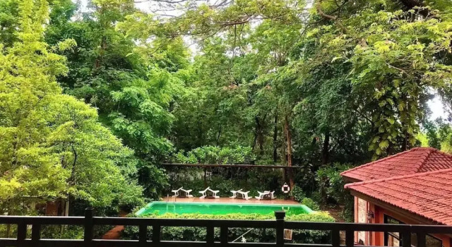 Номер Superior The Journey House Lifestyle Boutique Hotel