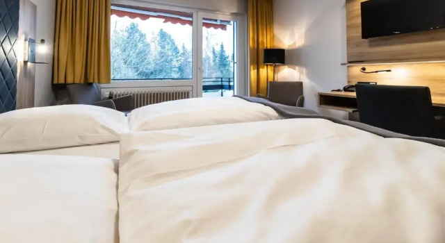 Двухместный номер Standard с видом на сад VitalHotel Ascona