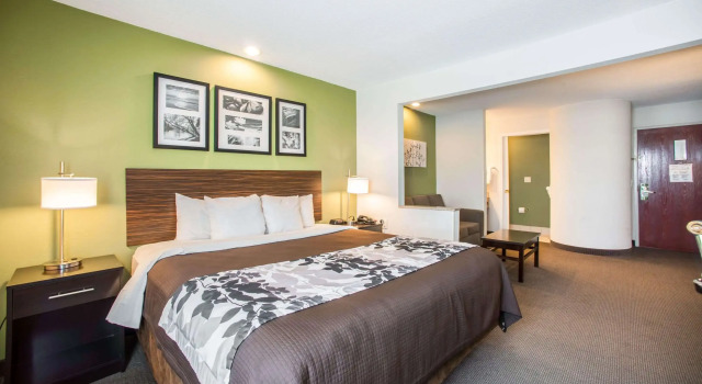 Dwuosobowy suite Sleep Inn Decatur I-72