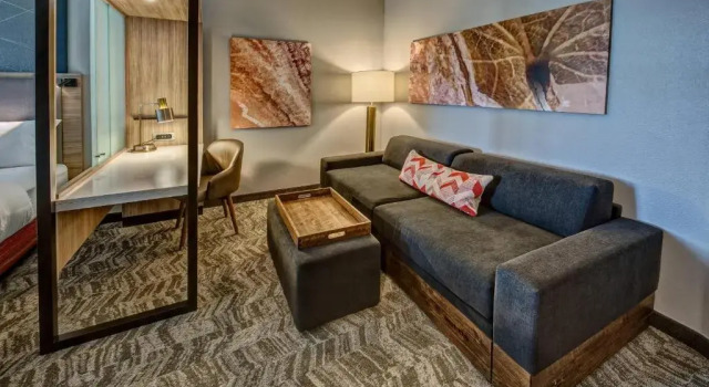 Люкс SpringHill Suites by Marriott Amarillo