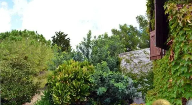 Номер Standard Eurialo Green Suites