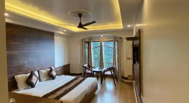 Двухместный номер Deluxe Hotel Silverine