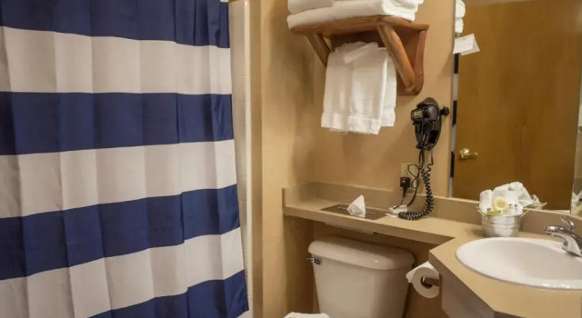 Номер Superior Stoney Creek Hotel Peoria