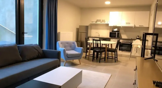 Апартаменты Full equipped and modern apartment in Ixelles