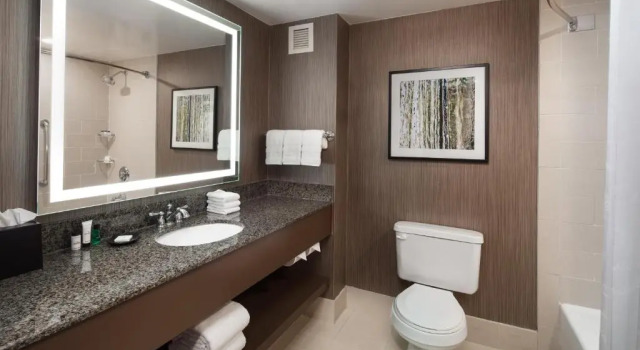Четырёхместный номер Standard Sheraton Agoura Hills Hotel