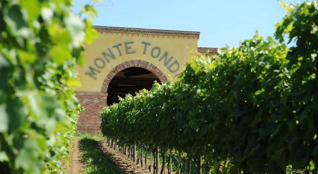 Monte Tondo, Prenota Agriturismo Soave Veneto