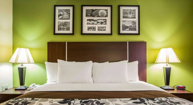 Двухместный номер Standard Sleep Inn Asheville - Biltmore West