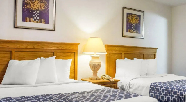 Четырёхместный номер Standard Rodeway Inn Old Town Scottsdale