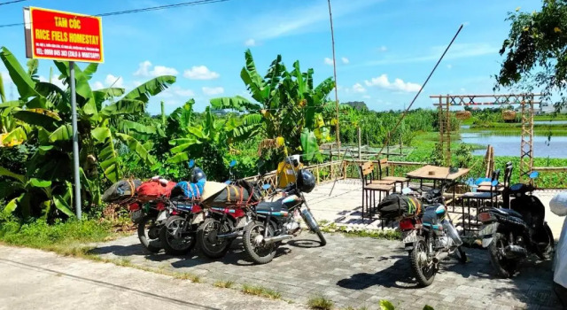 Кровать в общем номере Tam Coc Rice Fields Homestay