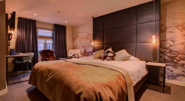 Одноместный номер Comfort Hotel De Maasparel Arcen