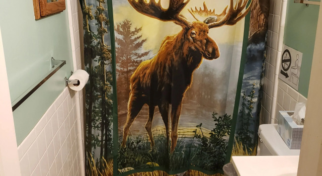 Номер Standard Yellowstone Wildlife Cabins