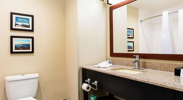 Номер Standard Comfort Inn & Suites Pine Bluff