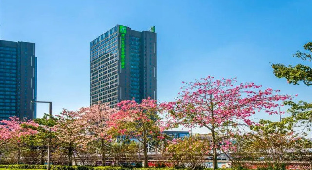 Люкс с видом на парк Holiday Inn Express Foshan Beijiao by IHG