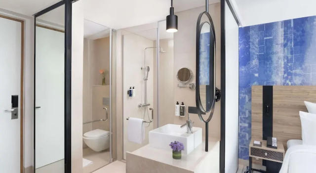 Номер Superior Novotel New Delhi City Centre