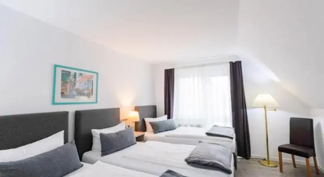 Standard triple chambre Hotel Freihof