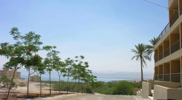 Thara Real Estate