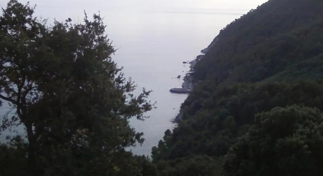 Коттедж Villa Venino