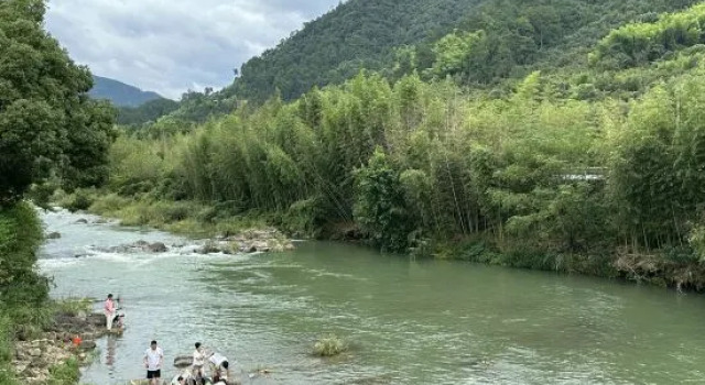 Zhixiju Pillow Water Homestay