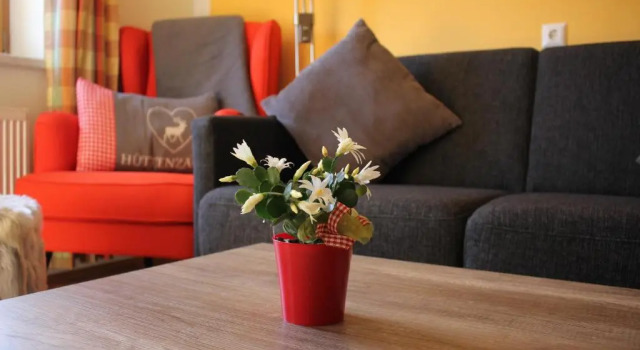 Номер Standard Haus Rupitsch