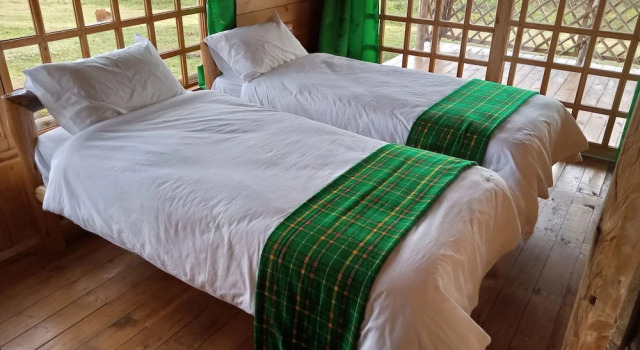 Шале с 3 комнатами Castle Forest Lodge