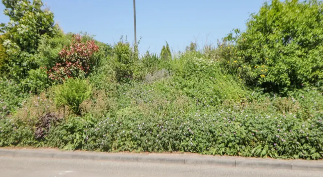 Коттедж Shenton Terrace