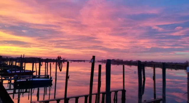 Venezia nature&beach
