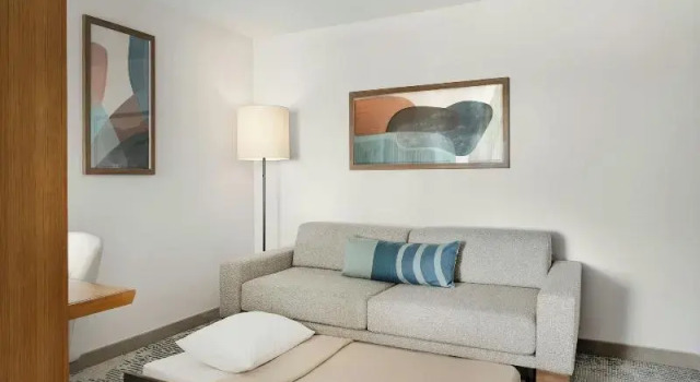 Четырёхместный люкс SpringHill Suites by Marriott Chicago Southeast/Munster, IN