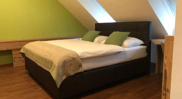 Двухместный номер Standard Hotel Braun