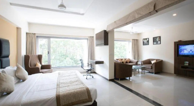 Люкс Superior VITS Shalimar, Ankleshwar
