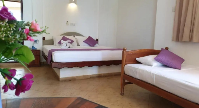 Трёхместный номер Superior Oasey Beach Hotel