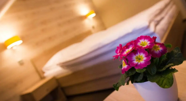 Двухместный номер Standard Hotel Freud