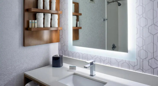Полулюкс Hilton Garden Inn Detroit Downtown