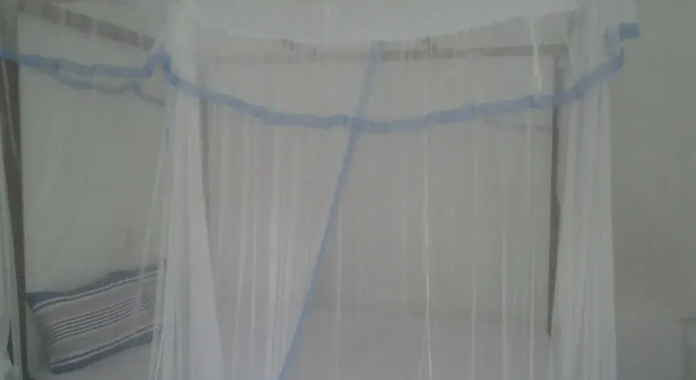 Orchid Villa  10