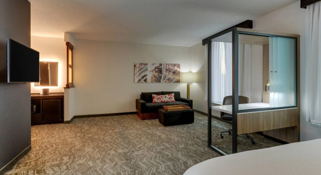 Двухместная студия SpringHill Suites by Marriott Birmingham Downtown at UAB
