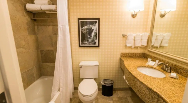 Двухместный люкс c 1 комнатой Hilton Garden Inn Bowling Green