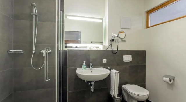 Двухместный номер Standard Hotel Holzscheiter