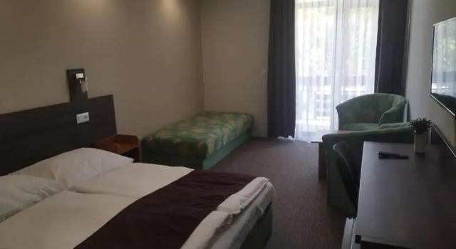 Номер Standard Hotel Tagore
