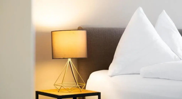 Одноместный номер Standard с видом на окрестности Alpenblick Weggis - Panorama & Alpen Chic Hotel