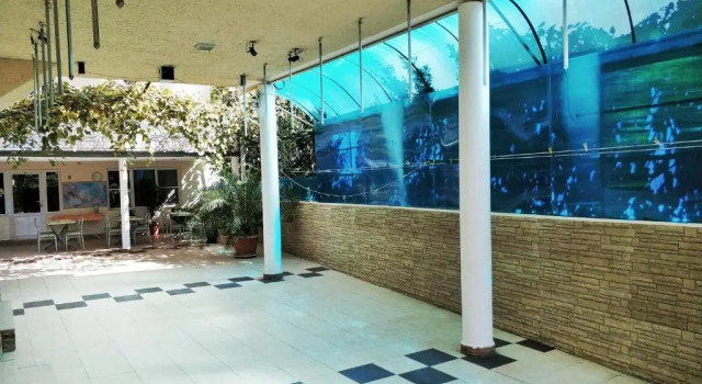 Mini-hotel "Domik v Gagre"