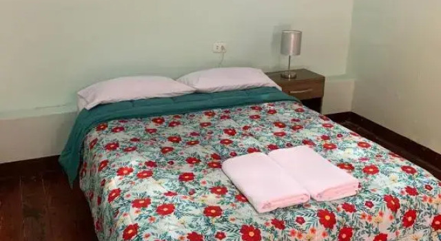 Standard room Wild Olive Guest House