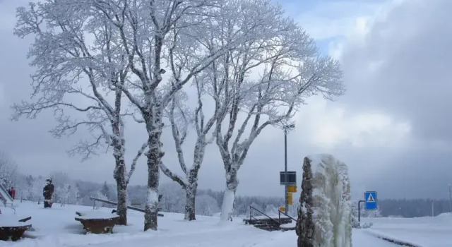 Hôtel-Restaurant-Spa-Séminaires de la Vue-des-Alpes, Забронировать Отель Ла-Вю-дез-Альп Невшатель