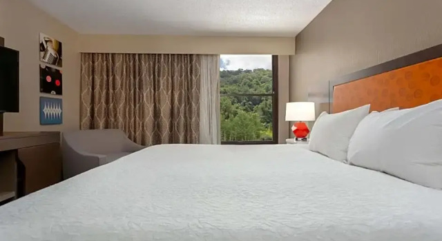 Двухместный люкс Hampton Inn Bristol