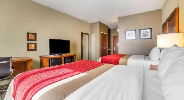 Четырёхместный номер Standard Comfort Inn & Suites