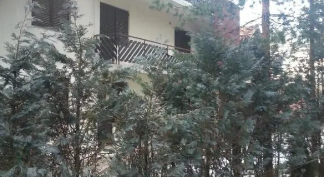 Apartment 9 Gorska Vila, Buchen Sie Ferienwohnung Čajetina 