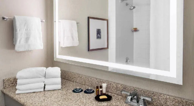 Двухместный клубный номер Standard Sheraton Raleigh Hotel