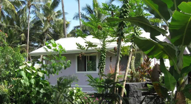 Шале The Dolphin Cottage at Kehena Beach